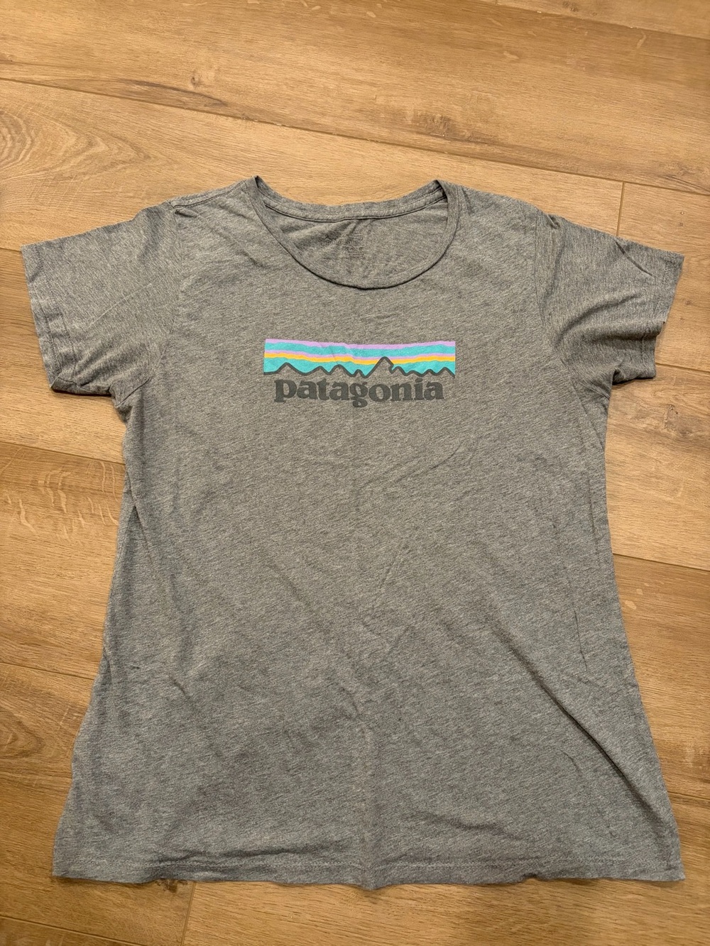 Patagonia T-shirt
